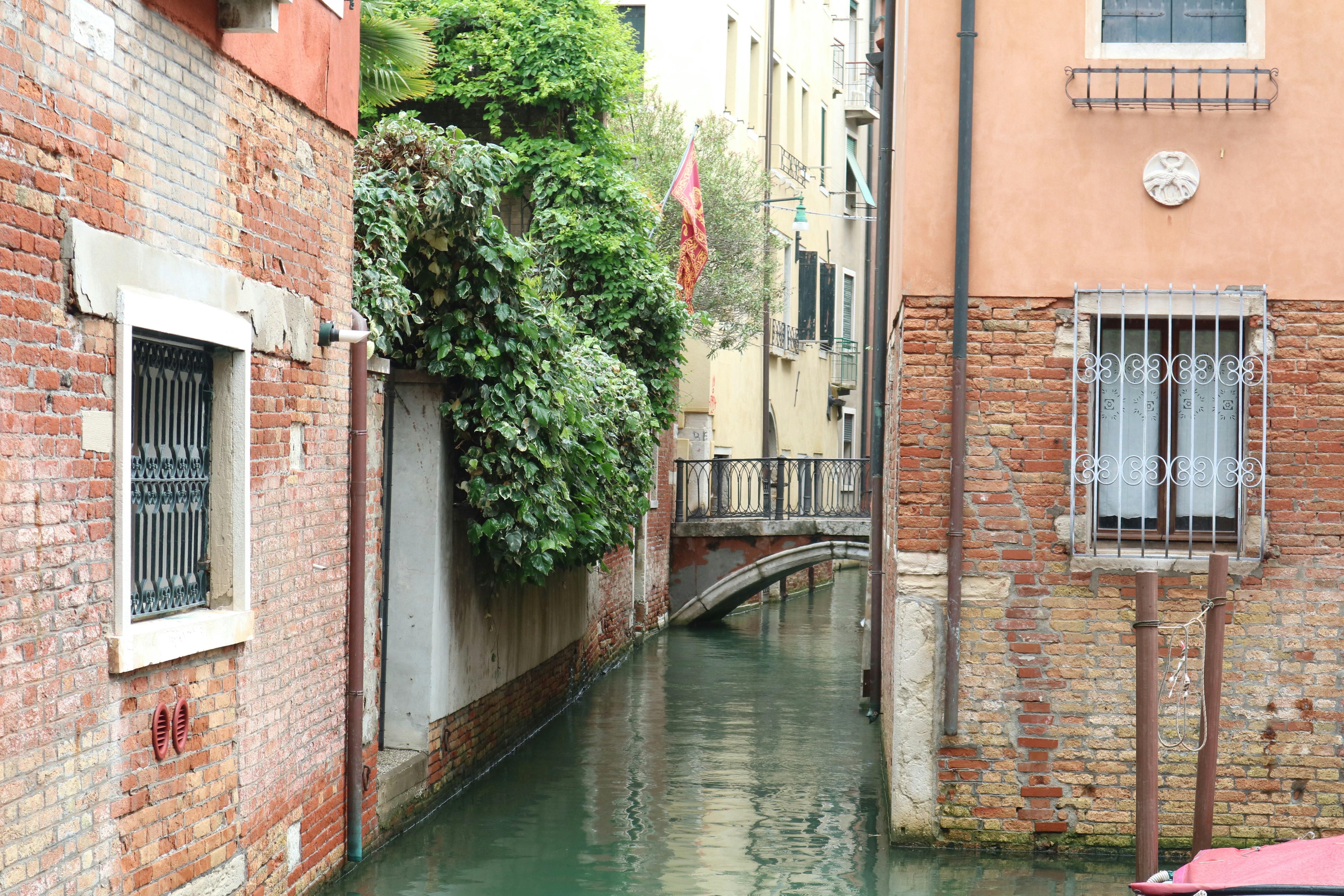 Alla Vigna