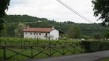 A rural scene featuring a white house with a red roof nestled among lush green vineyards. The backdrop is a dense forested hill, and the foreground includes a wooden fence lining a paved road. The sky is overcast with clouds, adding a serene and tranquil ambiance to the landscape.