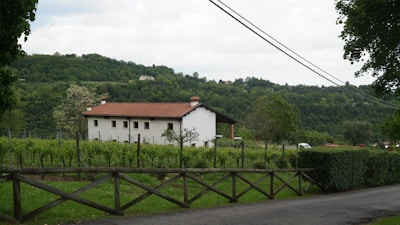 A rural scene featuring a white house with a red roof nestled among lush green vineyards. The backdrop is a dense forested hill, and the foreground includes a wooden fence lining a paved road. The sky is overcast with clouds, adding a serene and tranquil ambiance to the landscape.