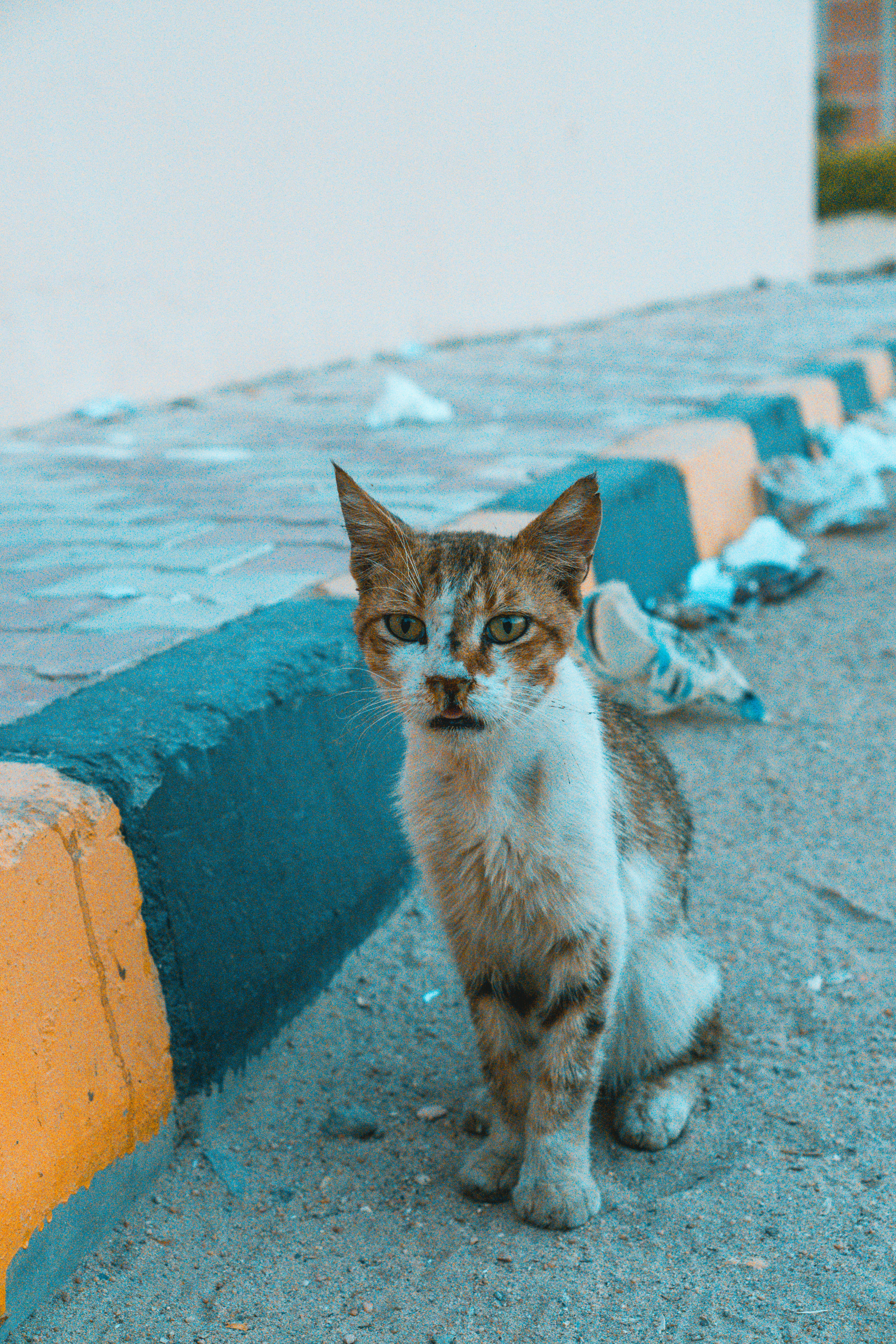 Photo by robingundlach