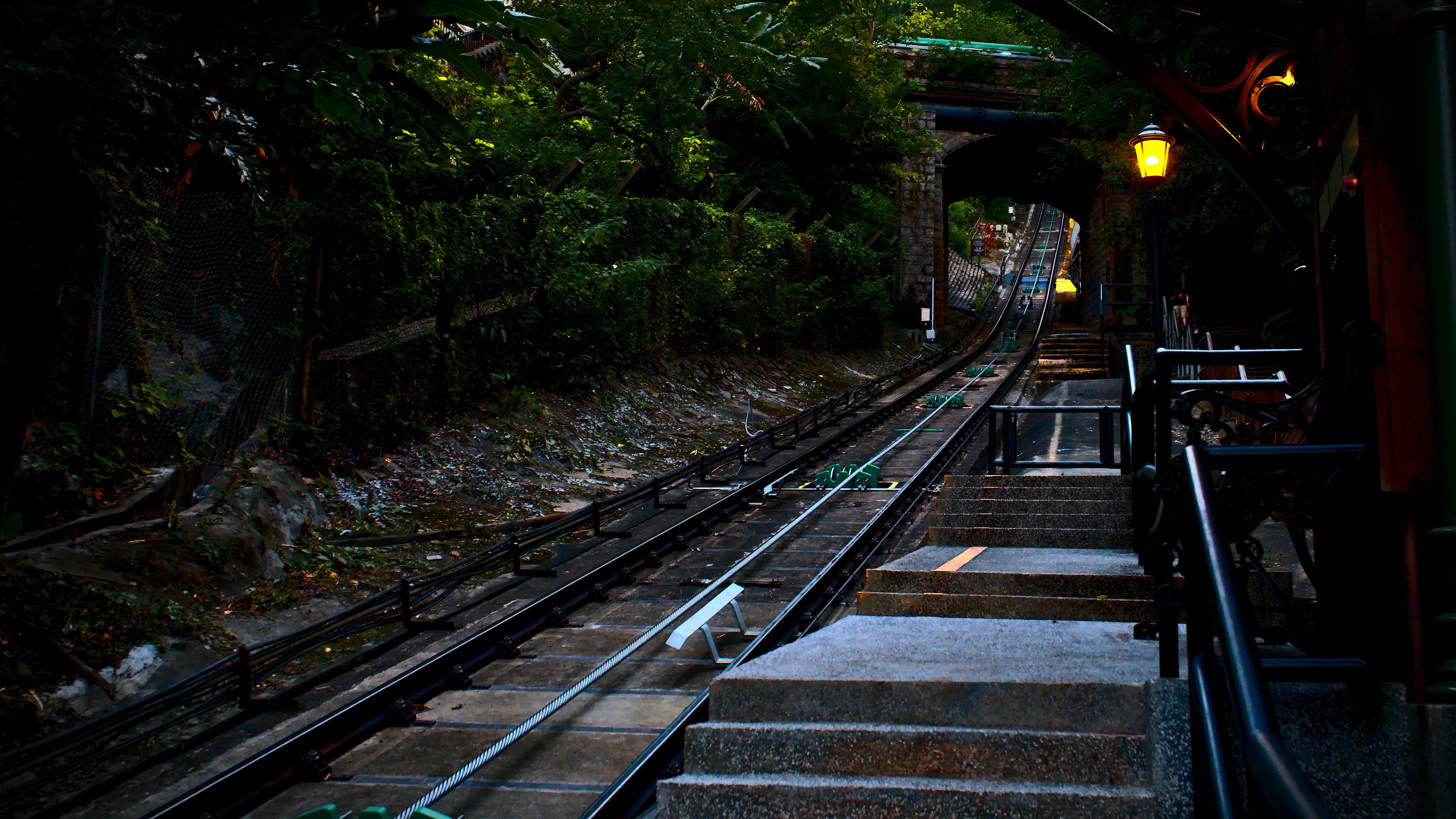 Photo by darklight2021