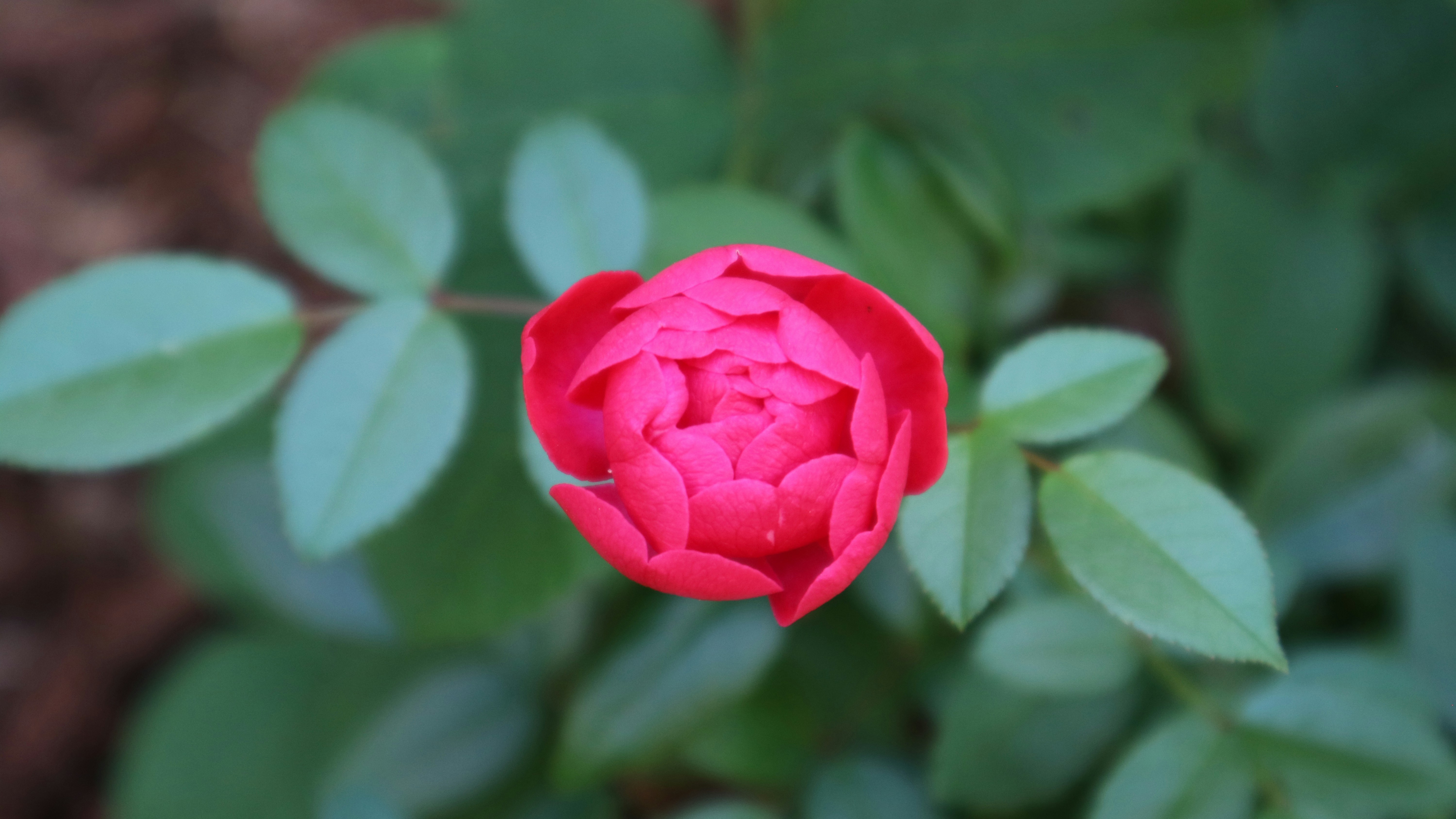 Photo by timomakelainen