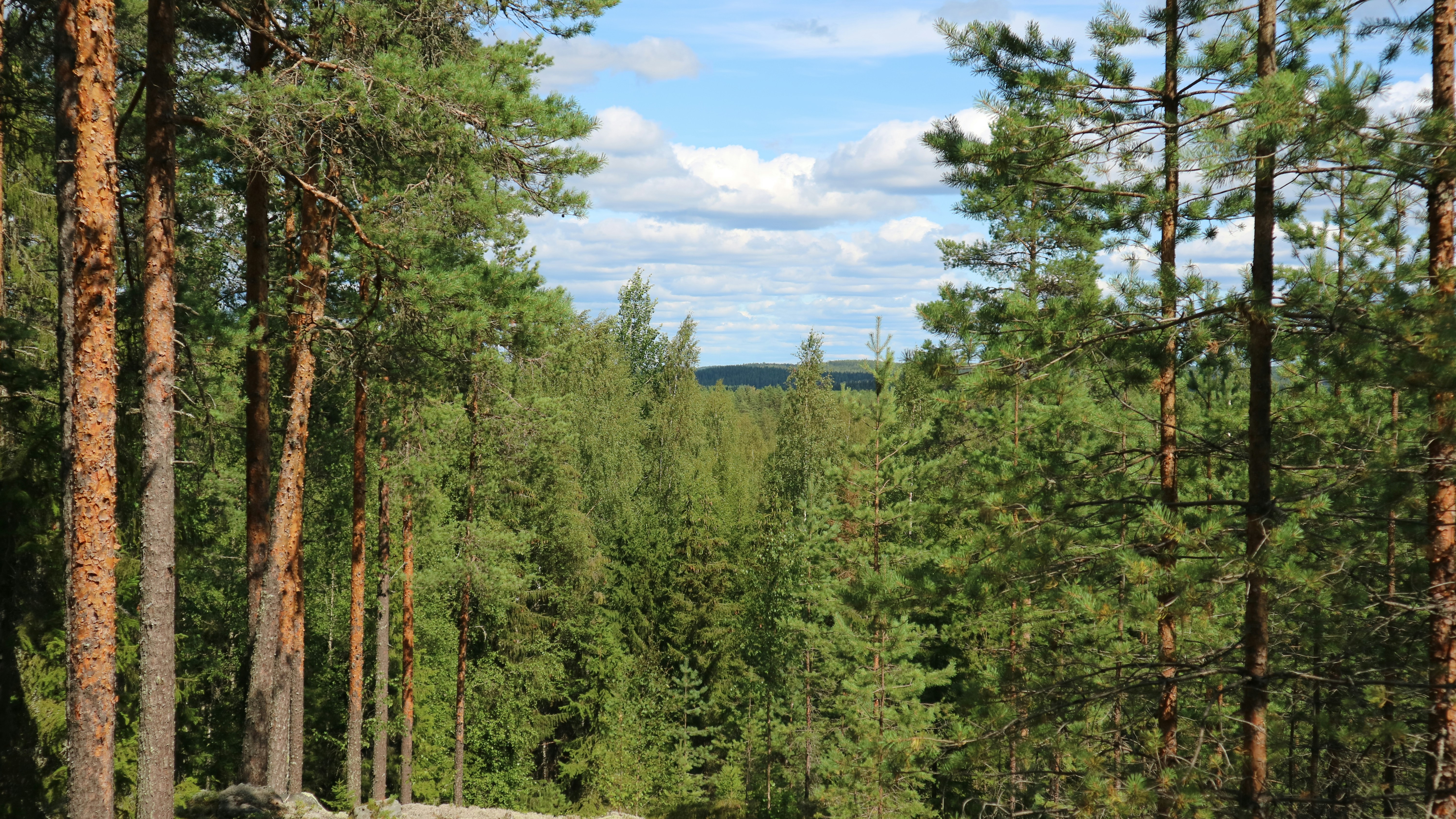 Photo by timomakelainen