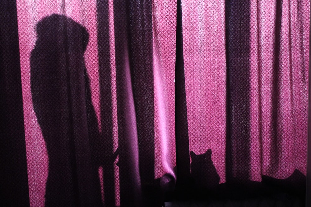 a shadow of a person standing in front of a curtain