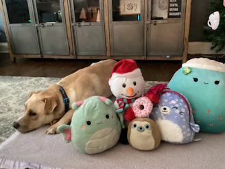 A happy dog playing with colorful pet toys in a cozy home setting.