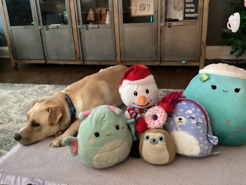 A dog is lying down on a gray rug, surrounded by various plush toys. The toys include a snowman with a Santa hat, a turquoise and light green dinosaur, and other colorful stuffed animals. The scene is set in a cozy living room with a wooden cabinet in the background.
