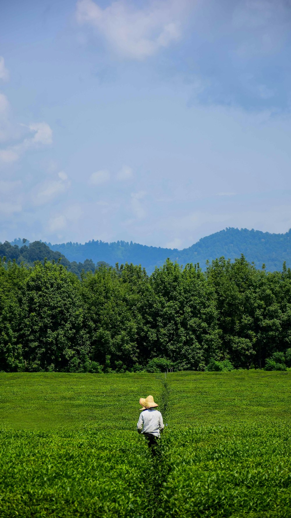 a person standing in a field with a hat on