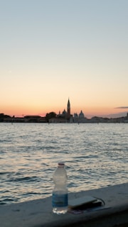 A serene shot of a Fish n Chill water bottle resting on a rocky outcrop overlooking the ocean at sunset