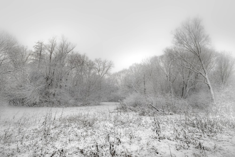 a black and white photo of a snow covered field