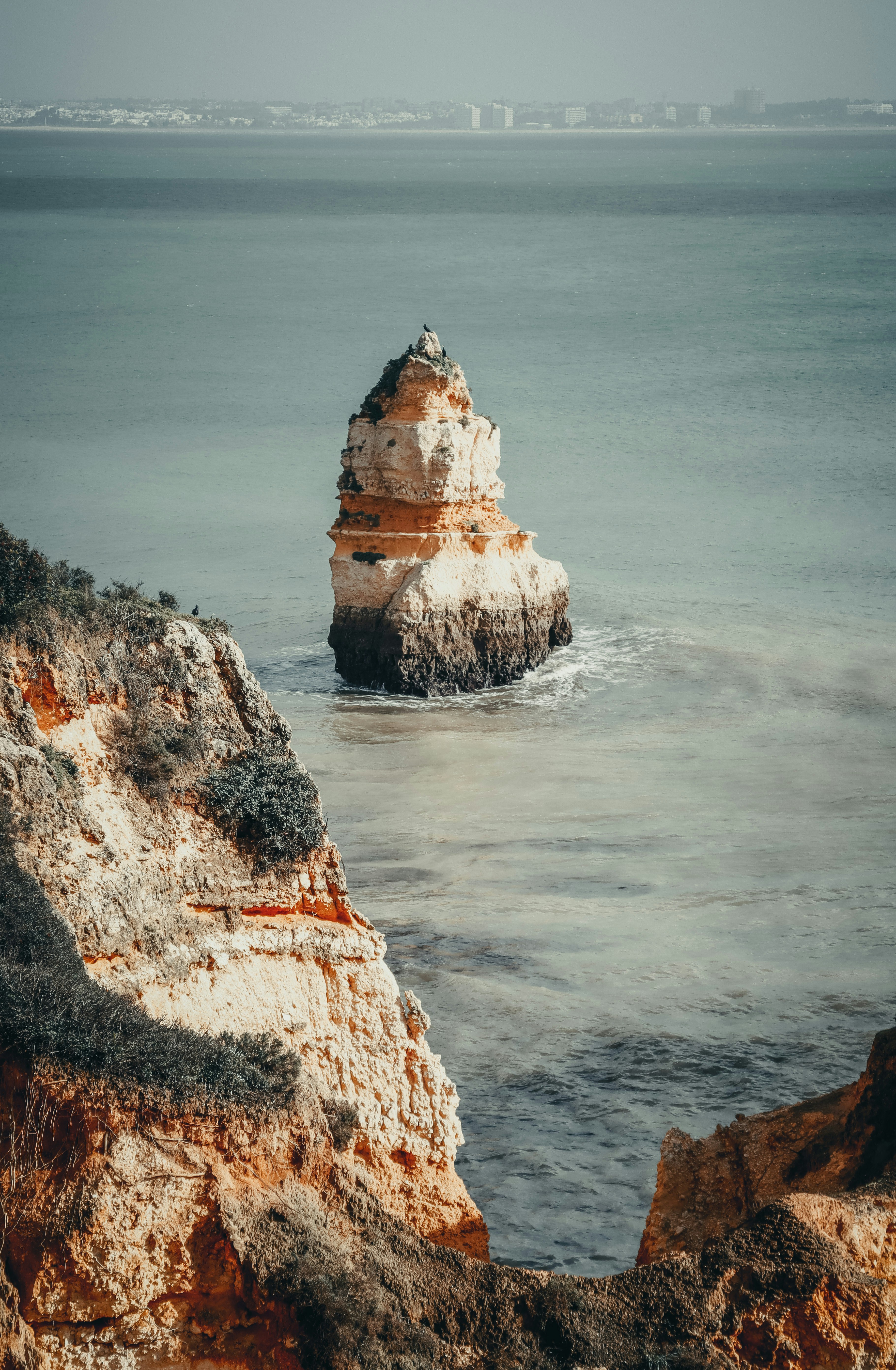 Photo by shanavaro