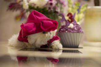 Close-up of a flancheese shaped like a sleepy cat with soft pastel pink frosting.