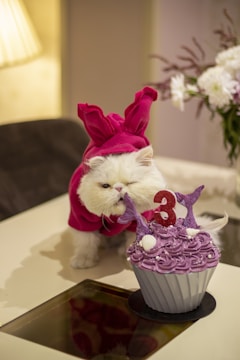 A white fluffy cat wears a vibrant pink bunny costume while standing on a table. In front of the cat is a large cupcake with purple frosting and decorative elements, including the number '3', mermaid tails, and seashells. The setting appears to be indoors with a warm, softly lit ambiance, and there are white flowers blurred in the background.