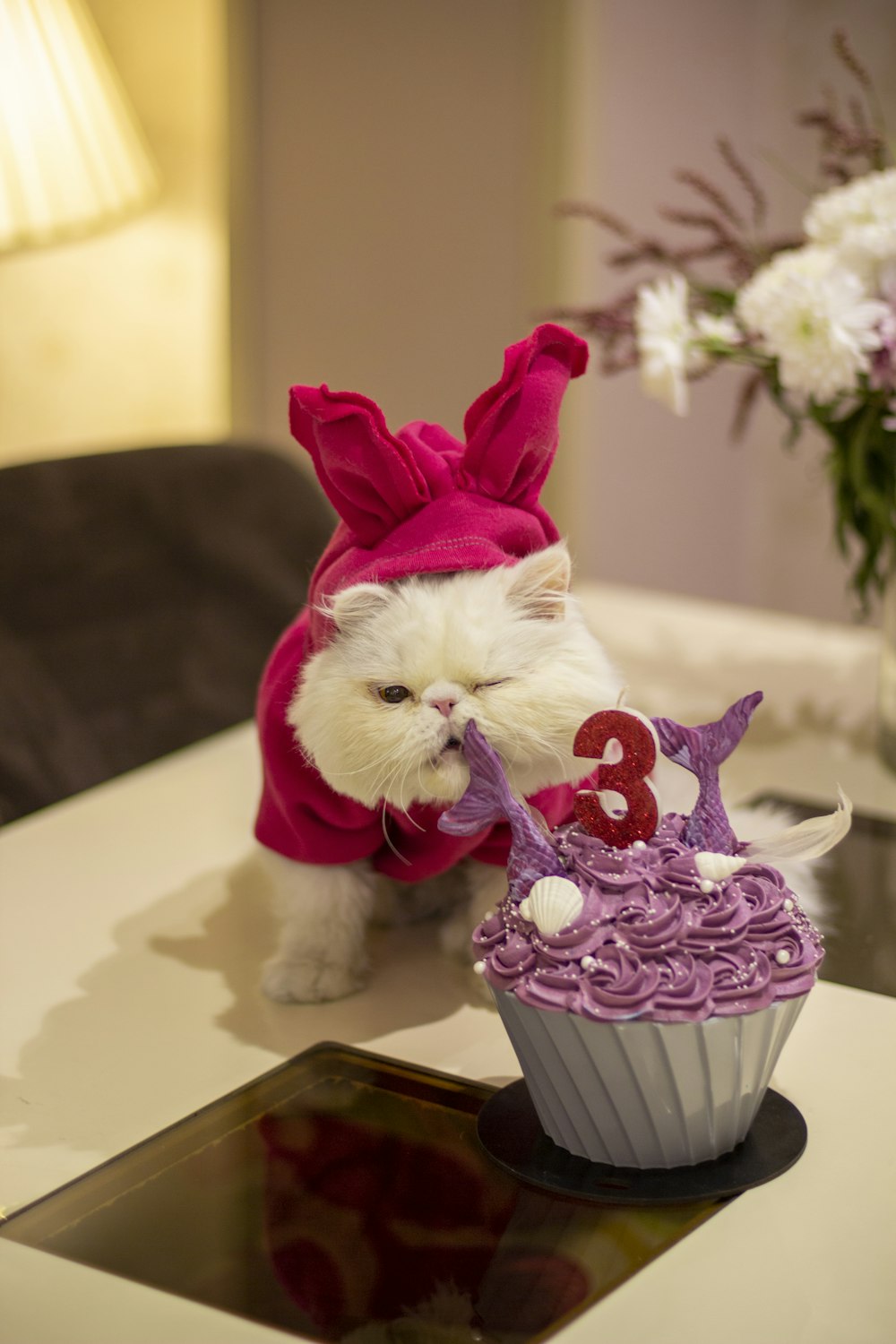 a white cat wearing a pink bunny outfit next to a cupcake