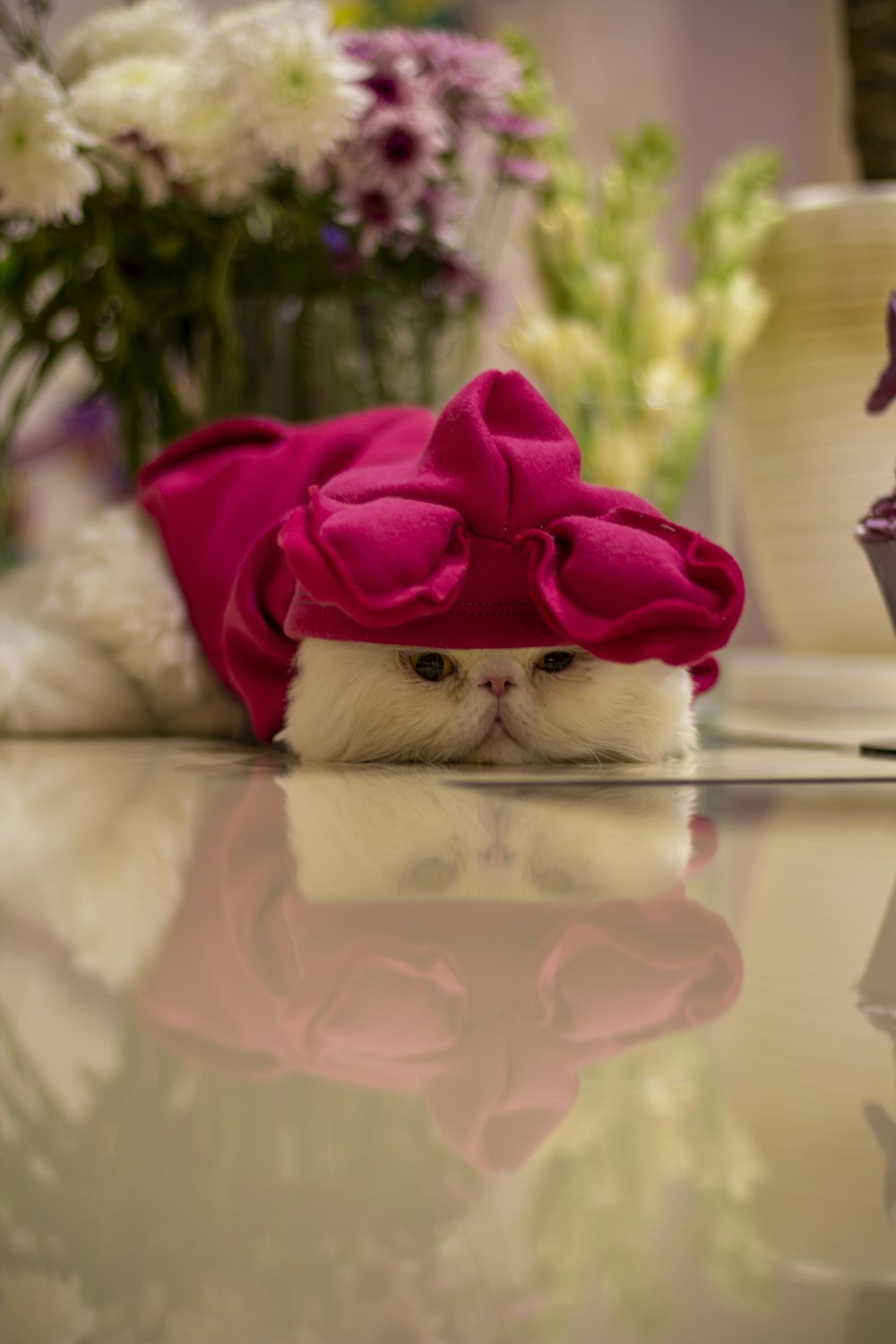a white cat wearing a pink hat on top of a table