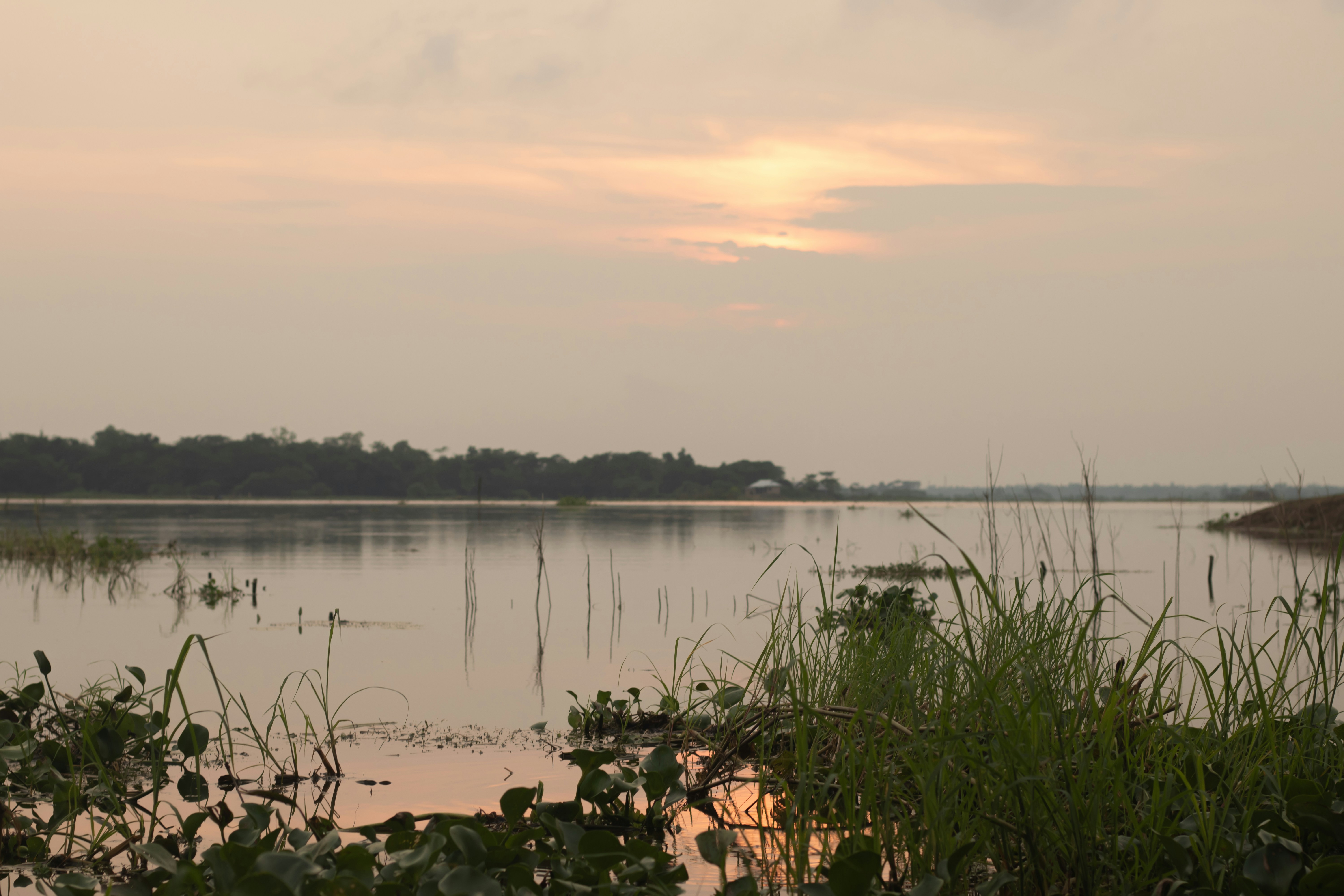 a body of water surrounded by grass and trees