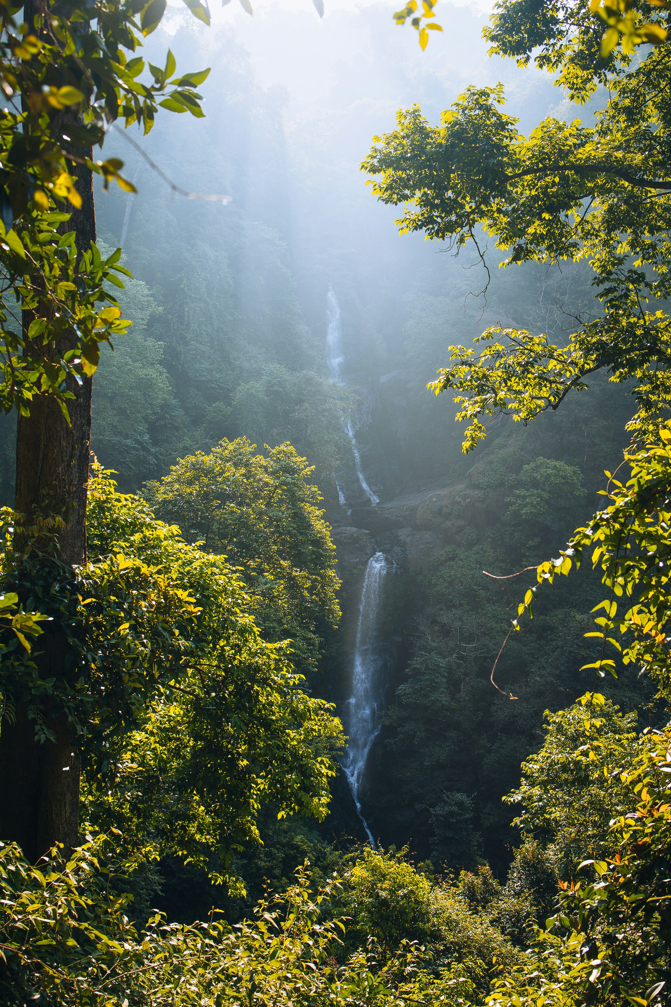 a waterfall in the middle of a forest