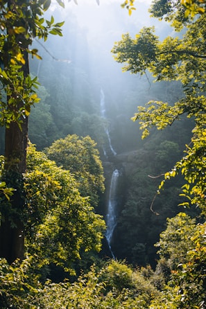 a waterfall in the middle of a forest