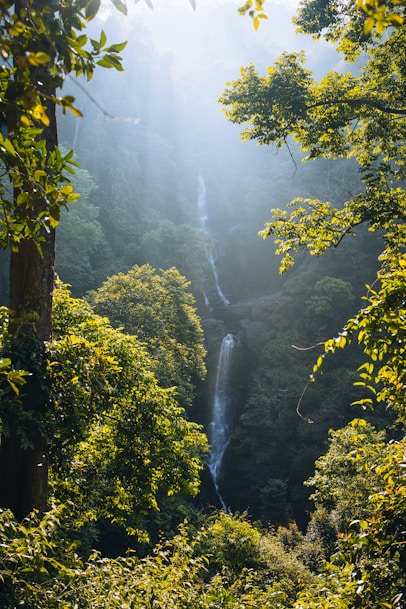 a waterfall in the middle of a forest