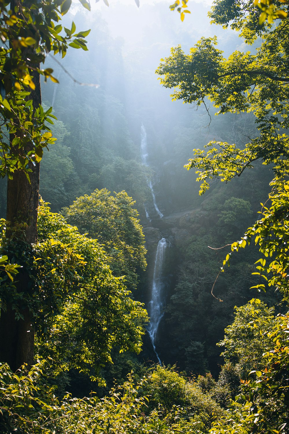 a waterfall in the middle of a forest