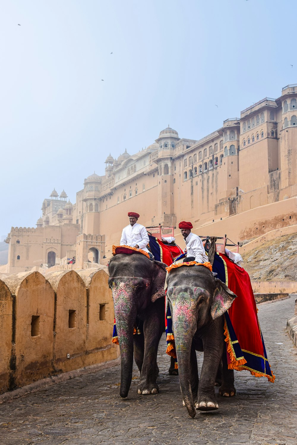 two men riding on the backs of elephants