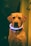 A dog is wearing a glowing collar that emits blue and pink light. The background is dimly lit, creating a contrast with the dog's bright accessory. The dog's expression is calm and the overall atmosphere suggests a nighttime setting.
