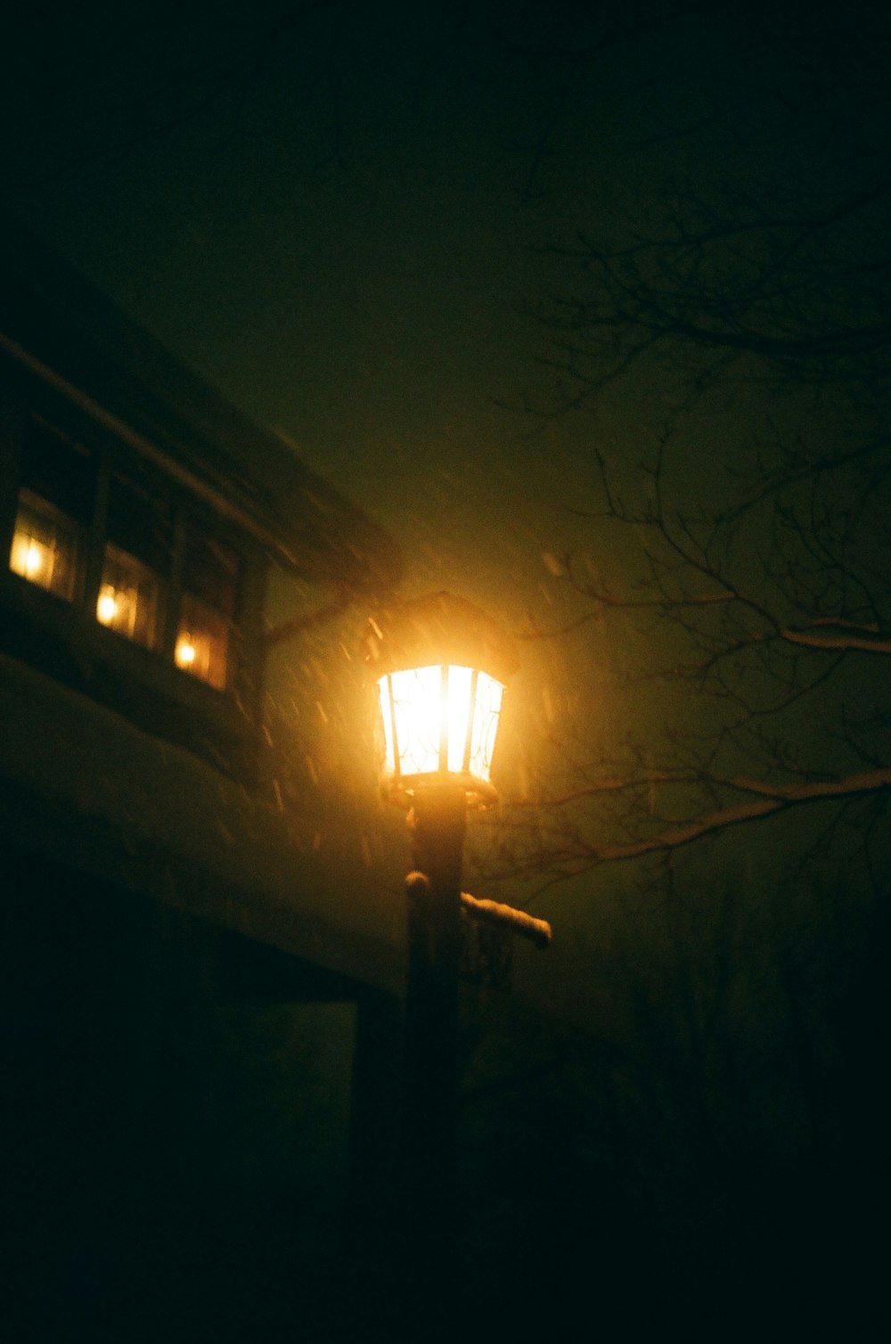 a street light lit up in the dark