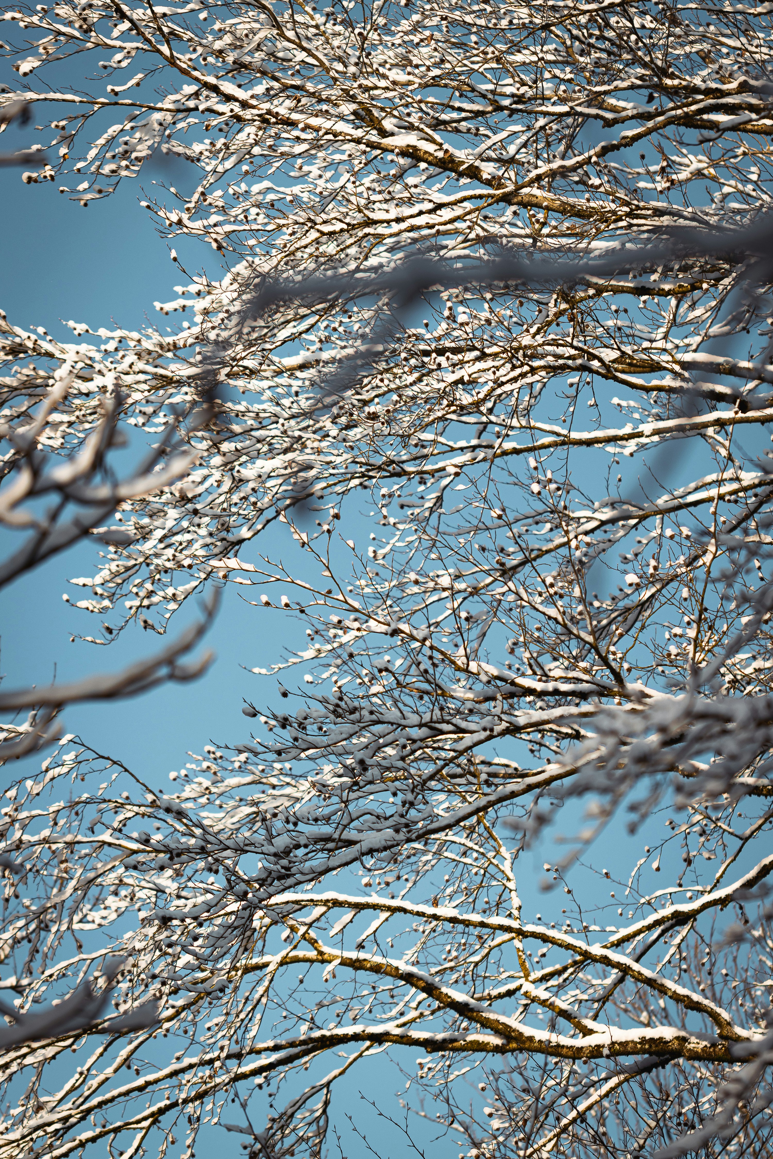 Photo by joachim_pressl