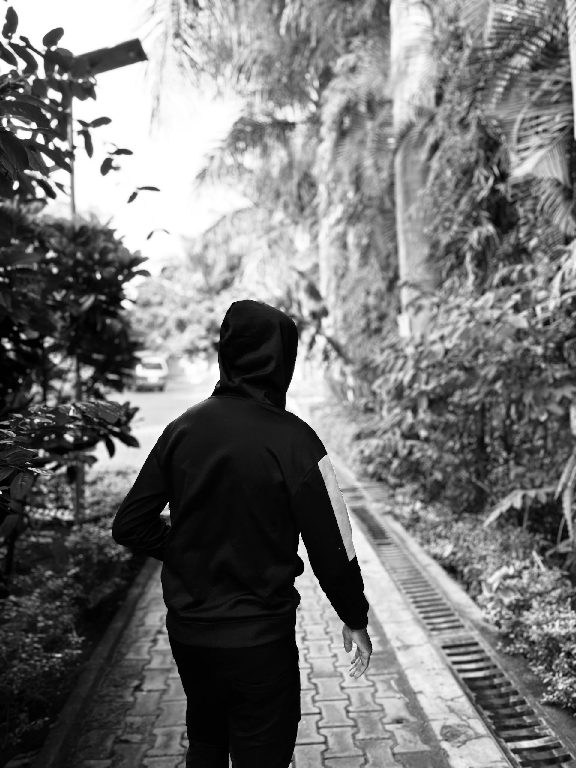 black and white bed linen