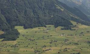 Aerial view capturing the vastness of the Greenwater area with homesites nestled among natural forest and open spaces.