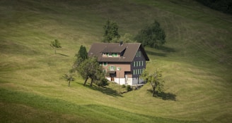 A solitary house with a brown roof and green shutters is situated on a grassy hillside. Surrounding the house are a few trees, and the expansive field extends into the distance with gentle undulations.