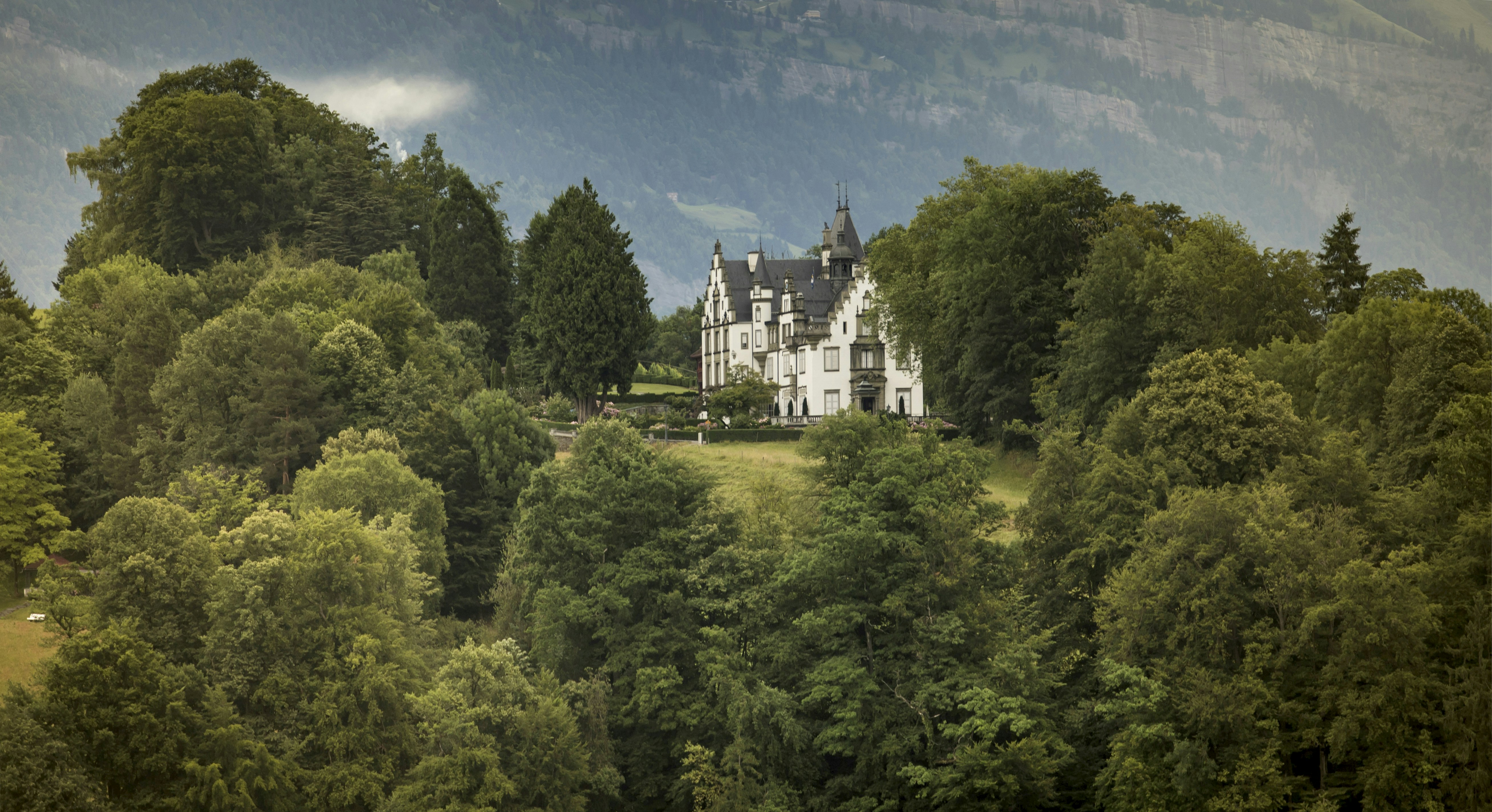 Photo by leo_visions_