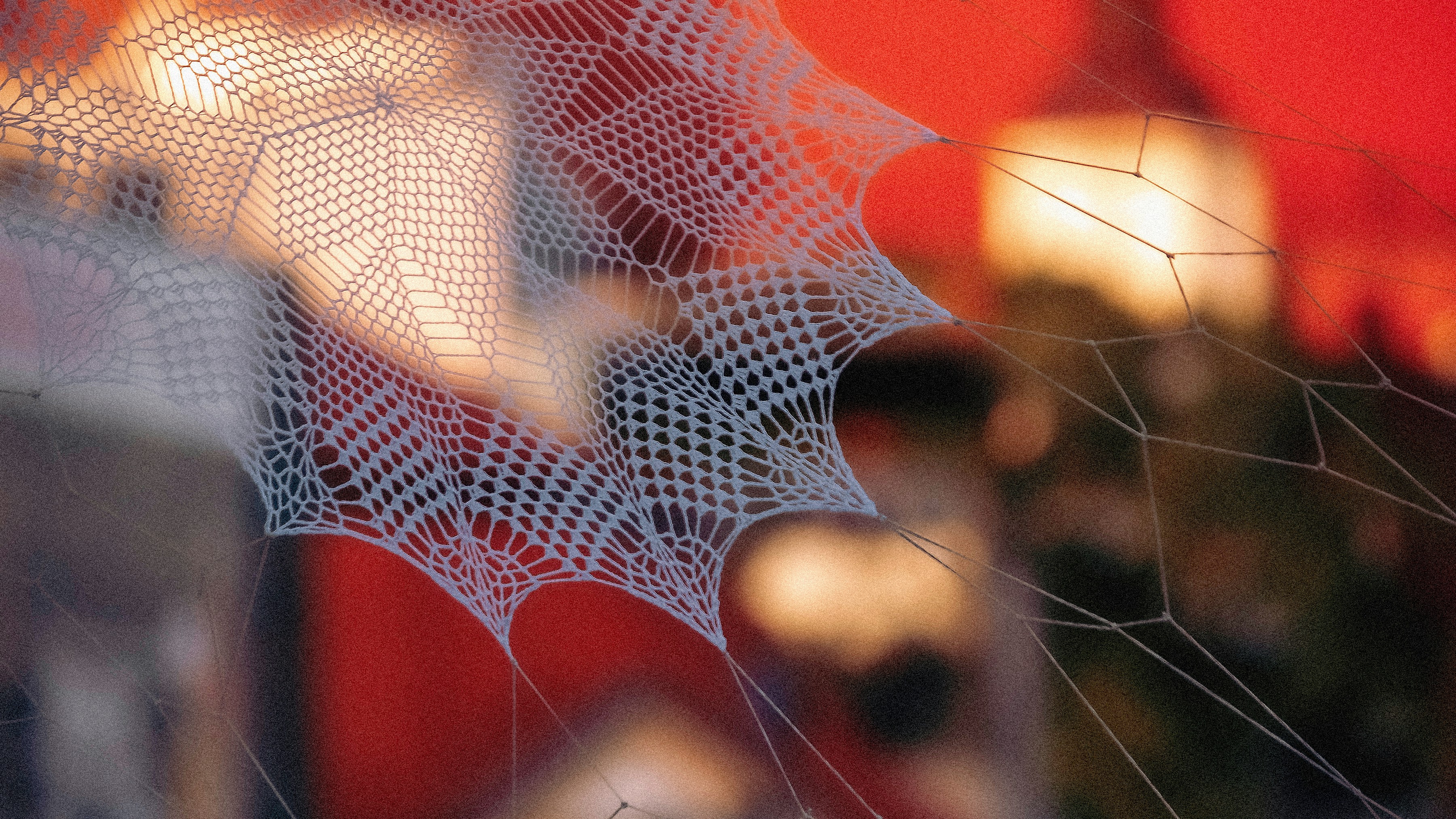 a close up of a spider web on a window