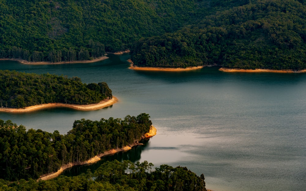 a large body of water surrounded by trees