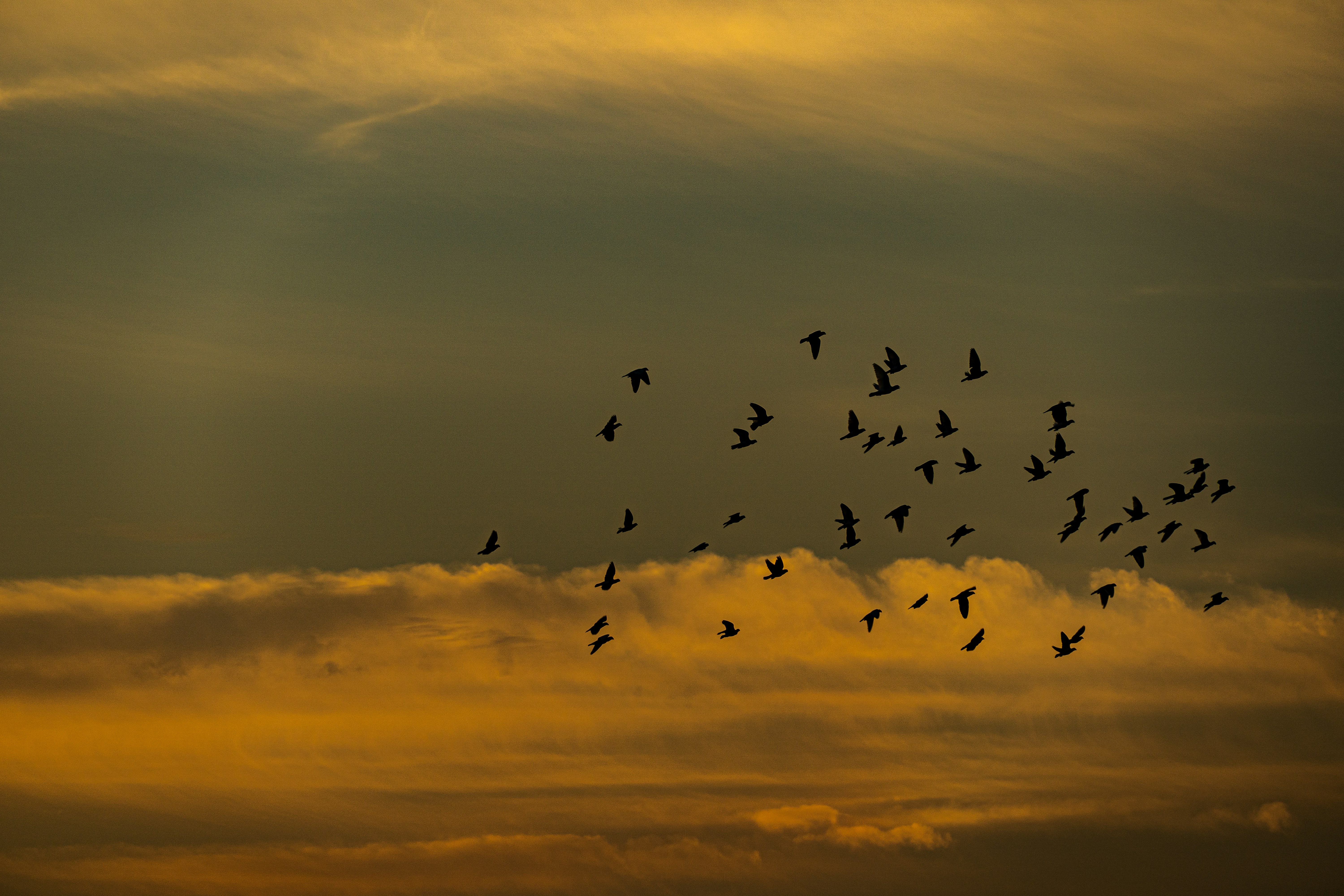 Photo by mahmood_daoud_art