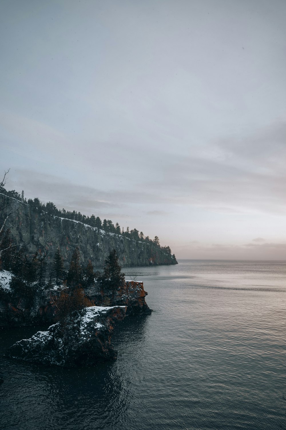 a body of water surrounded by a forest