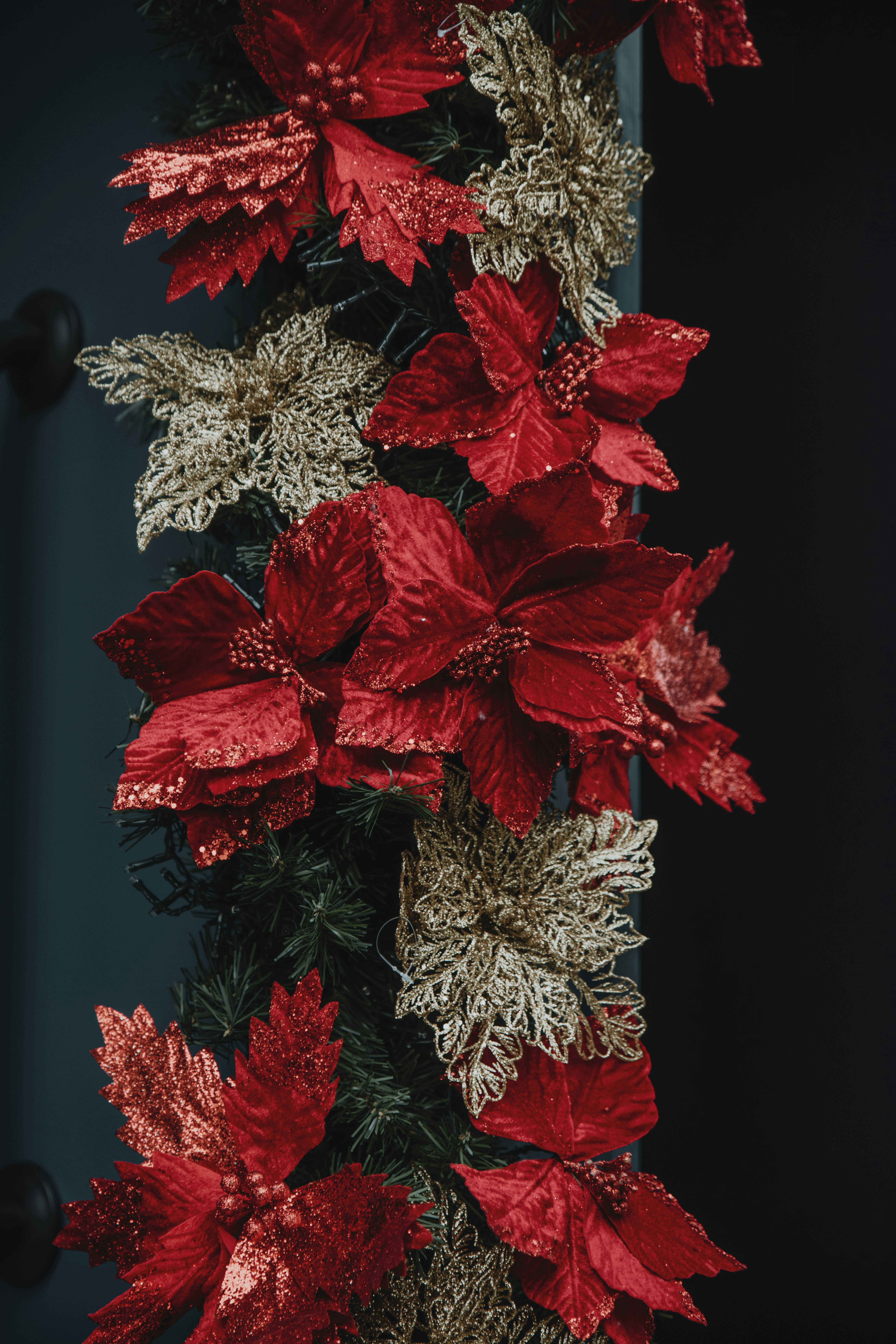 a bunch of red and gold poinsettia