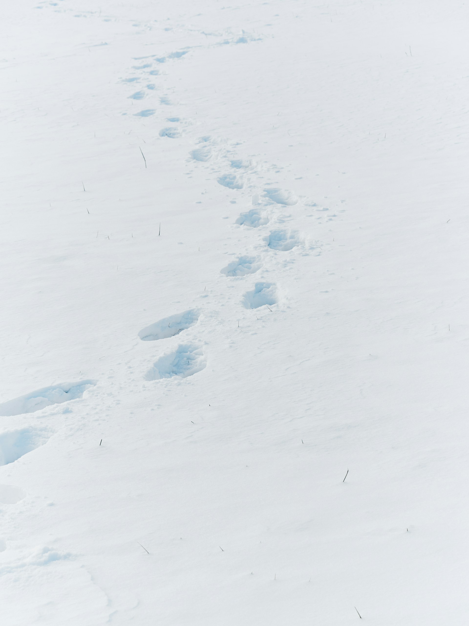 a man riding skis down a snow covered slope