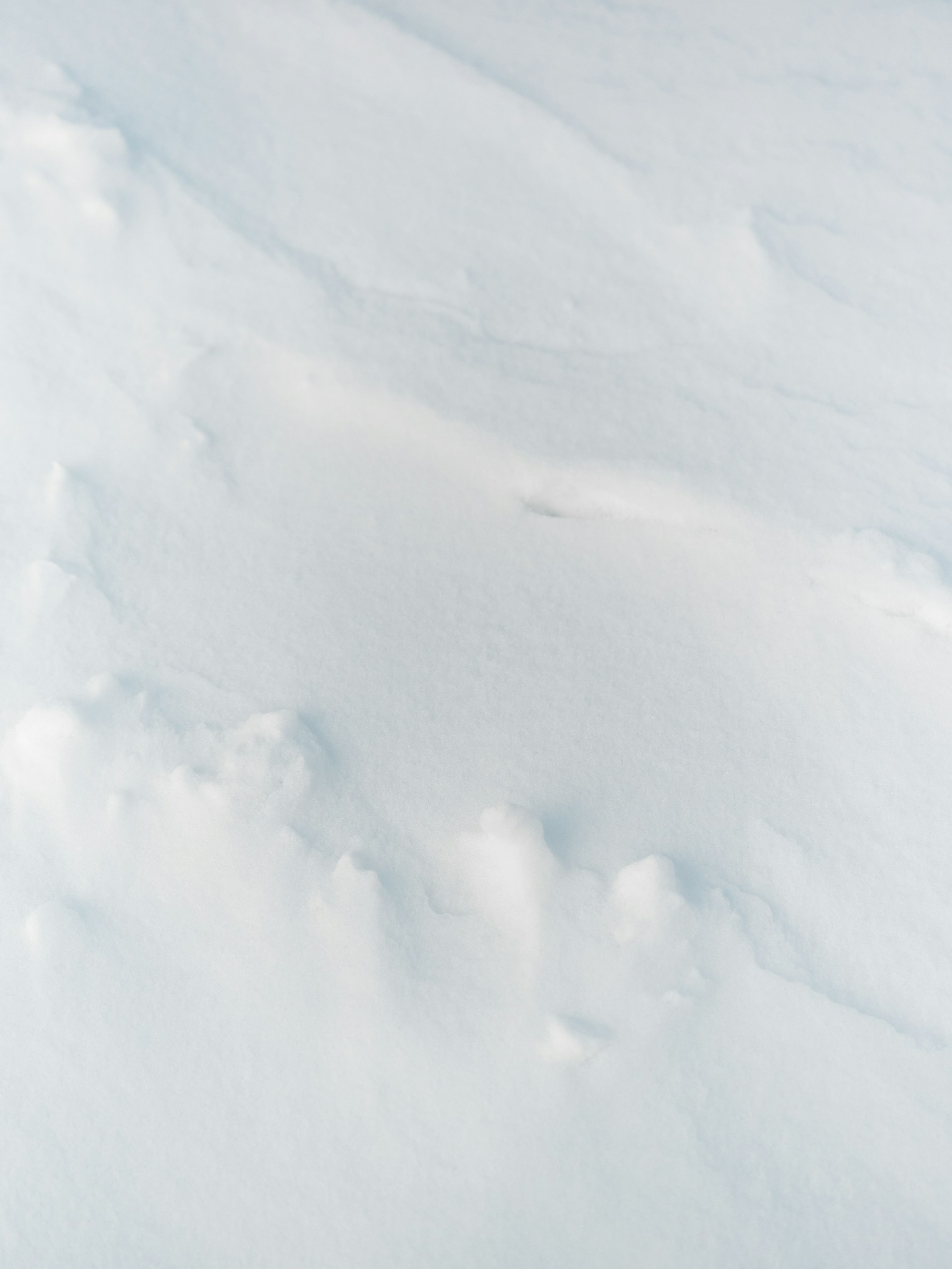 a man riding skis down a snow covered slope