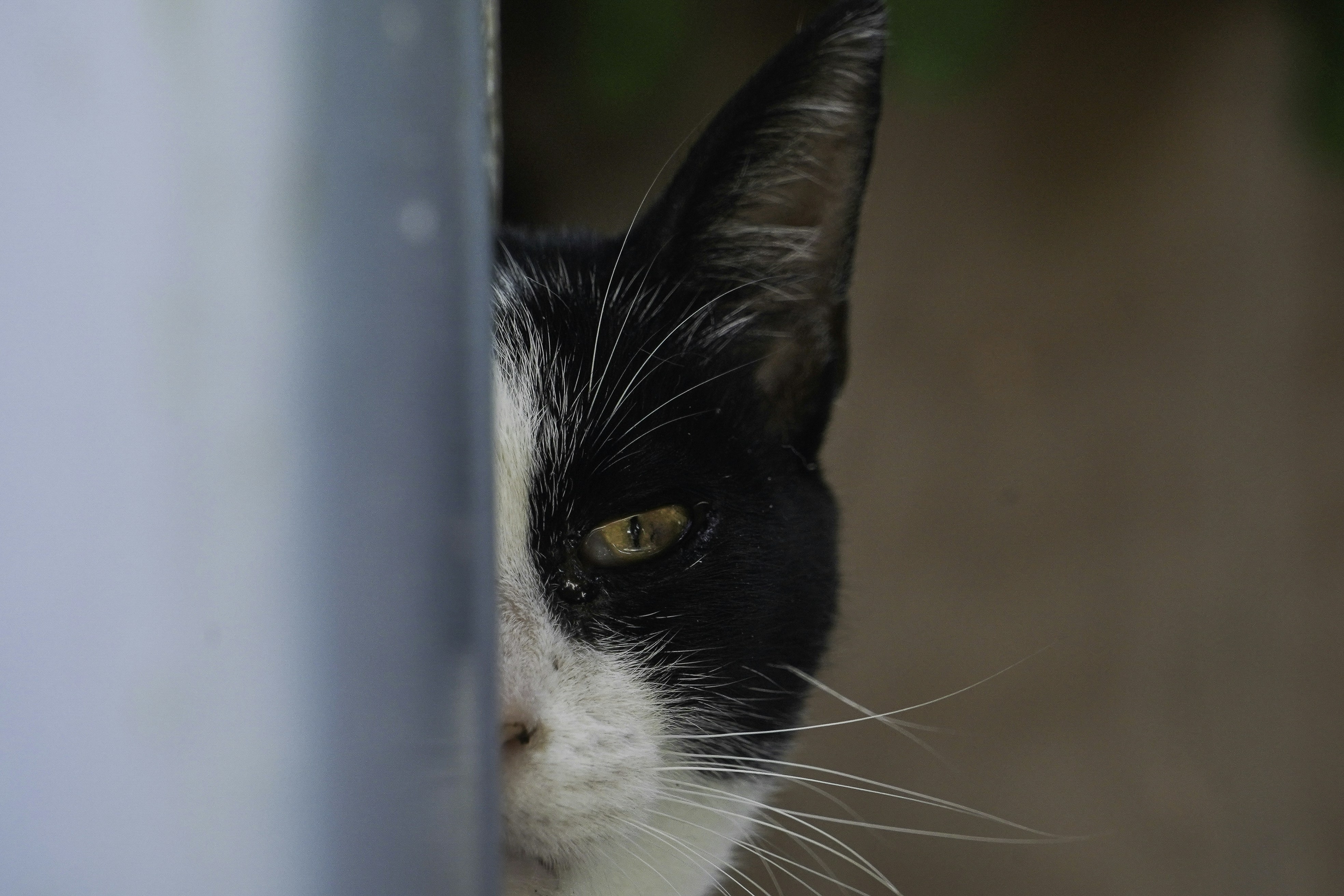 Photo by vencislavsh