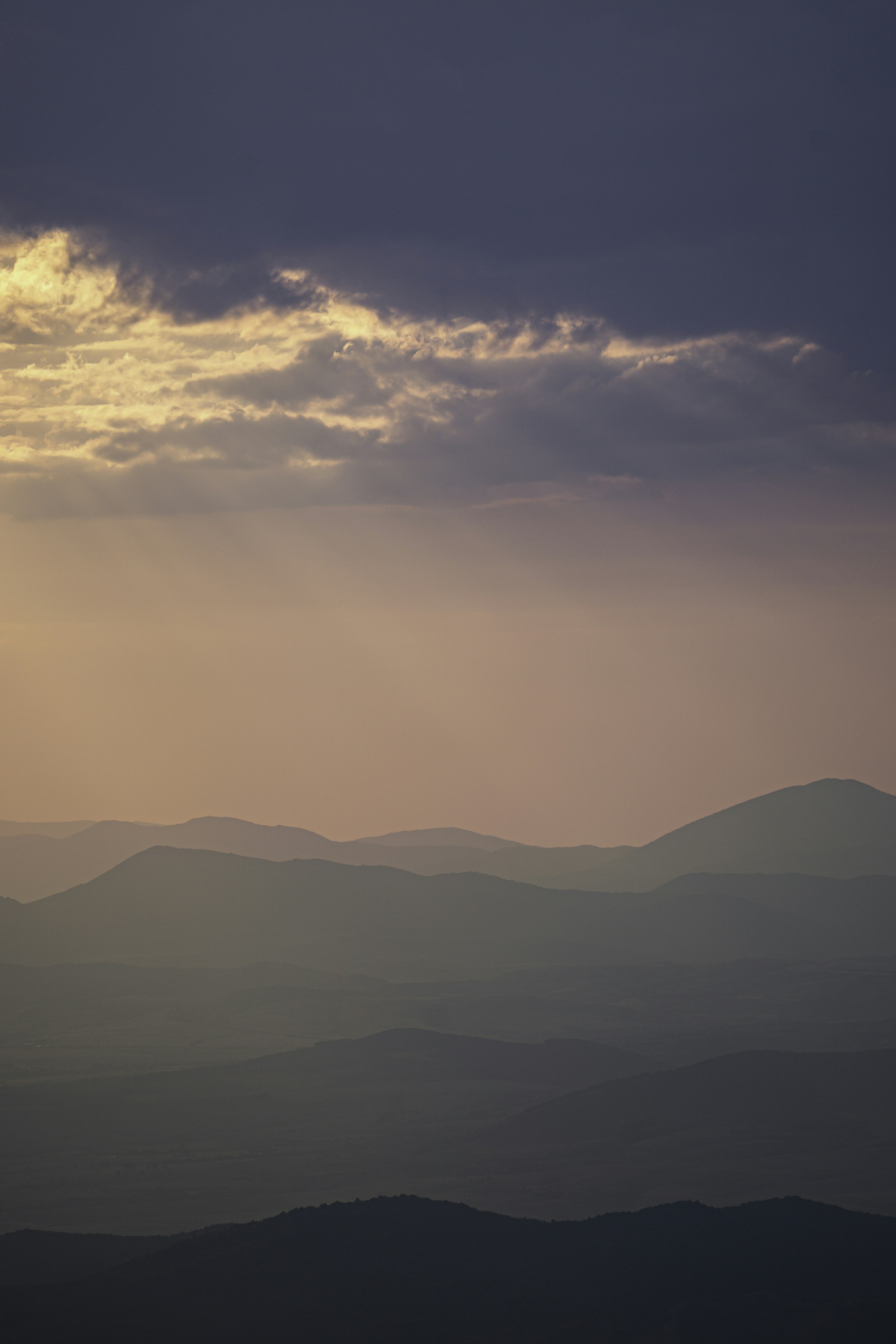 Photo by vencislavsh