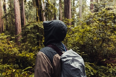a person with a backpack walking through a forest