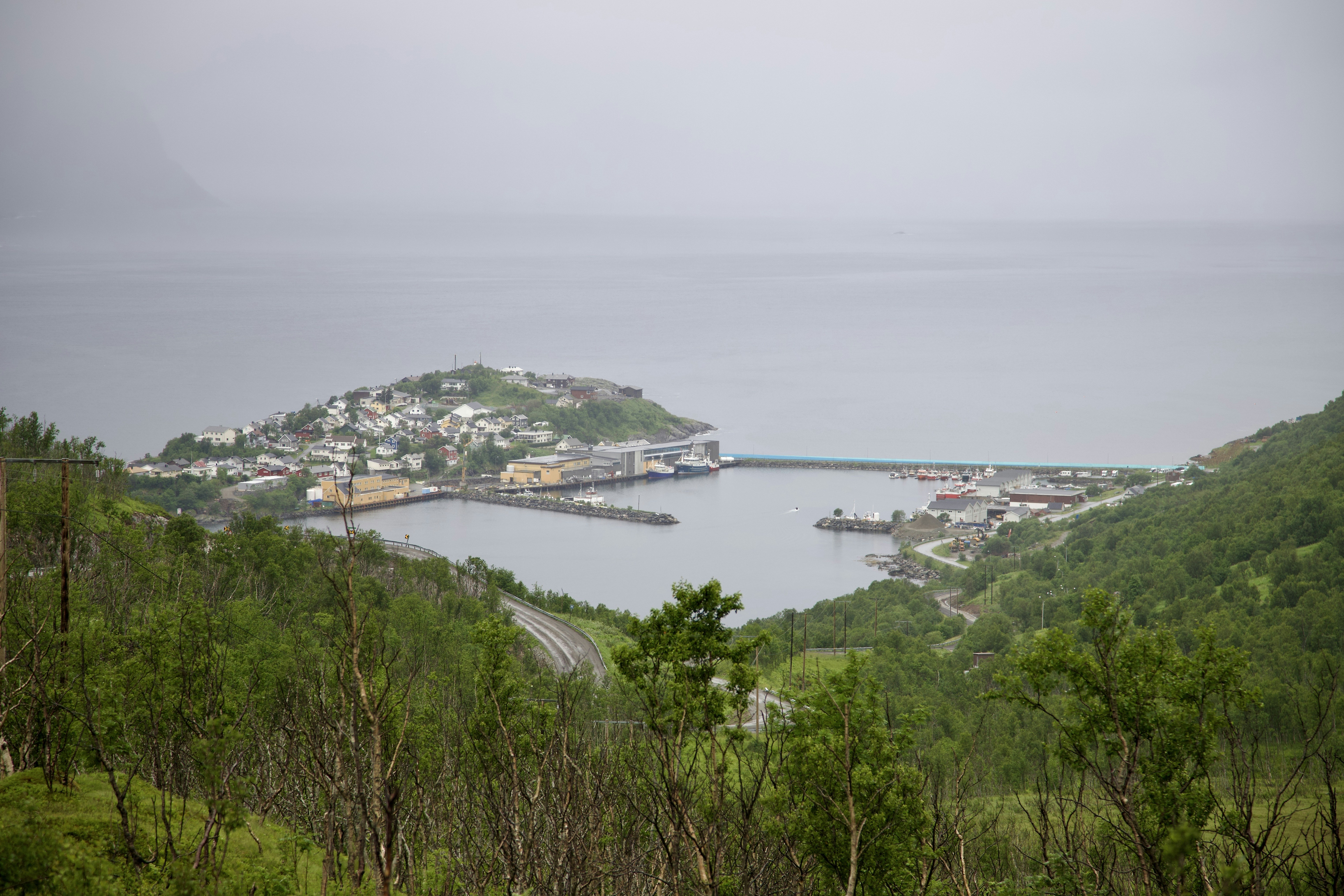 Photo by stockbirken