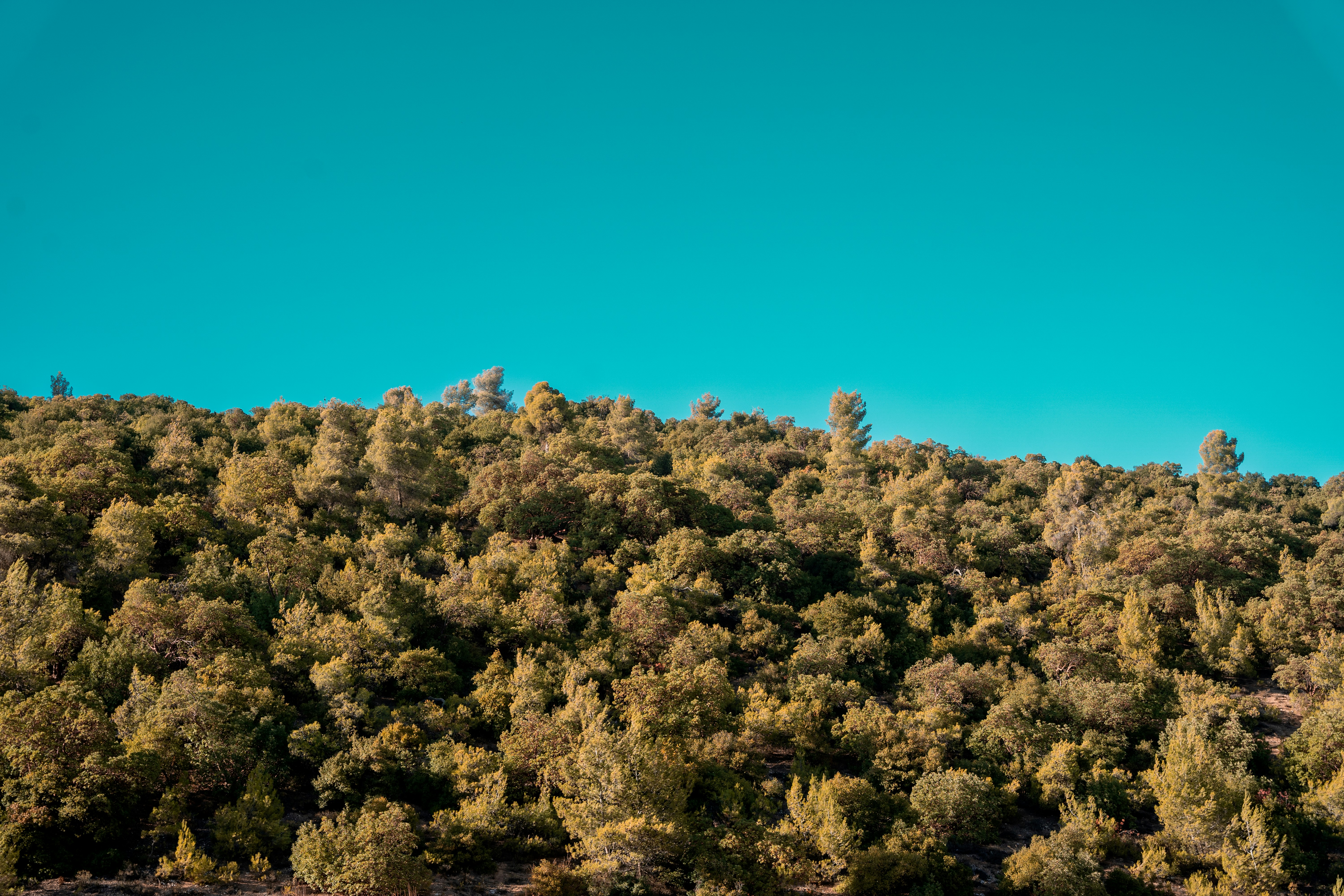 Photo by hisham_zayadneh