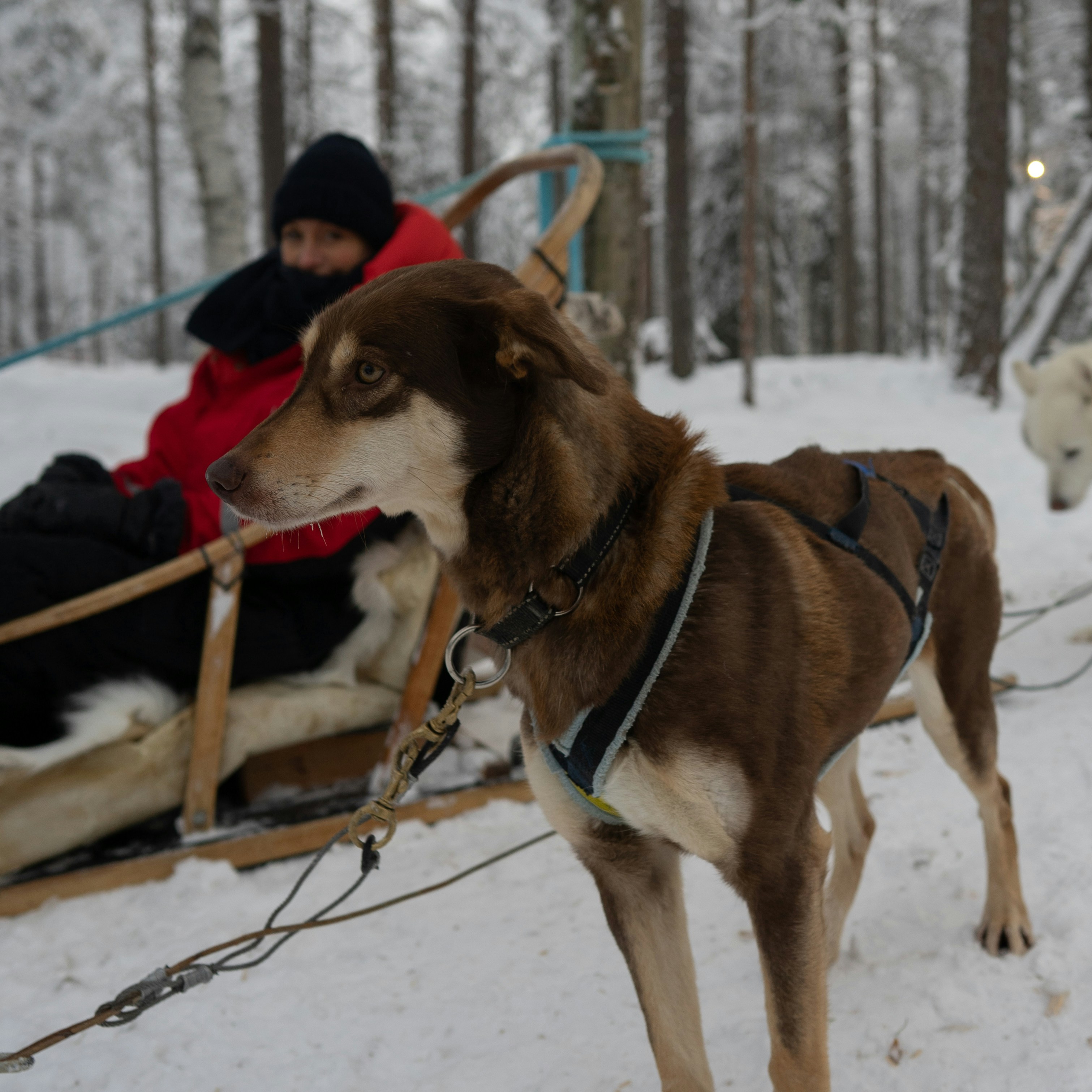 Photo by anthonyrosset