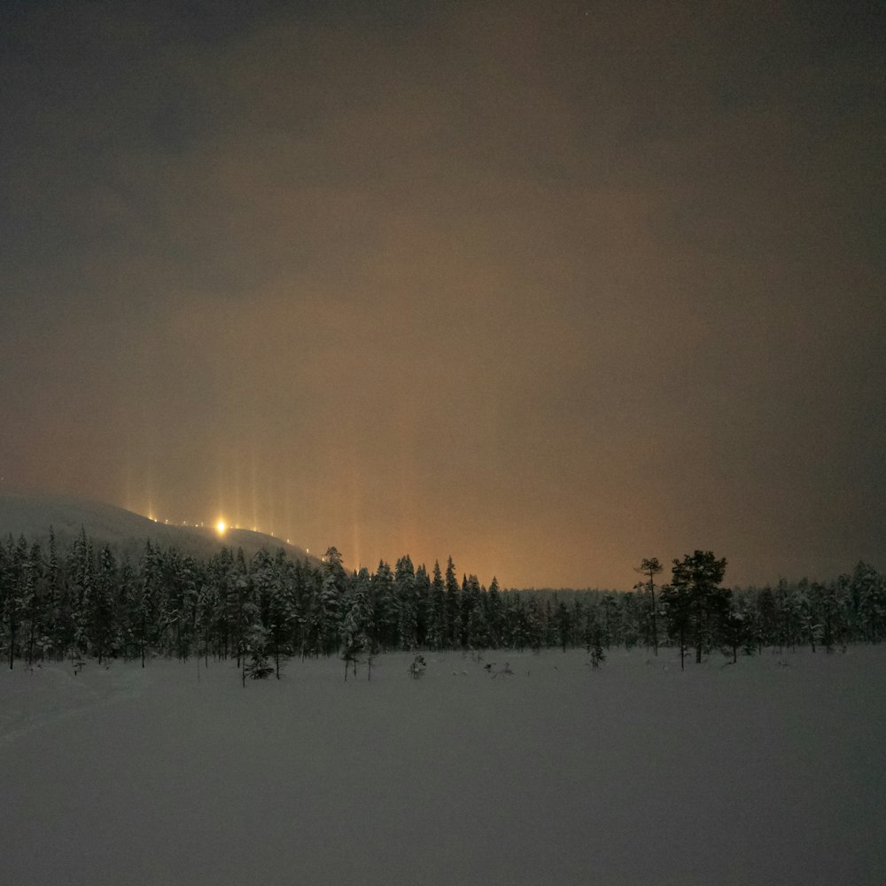 a snowy field with trees and lights in the distance