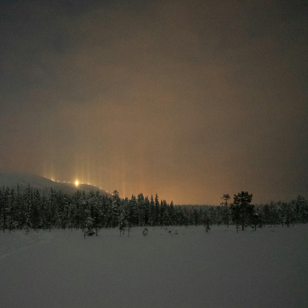 Un campo nevado con árboles y luces en la distancia