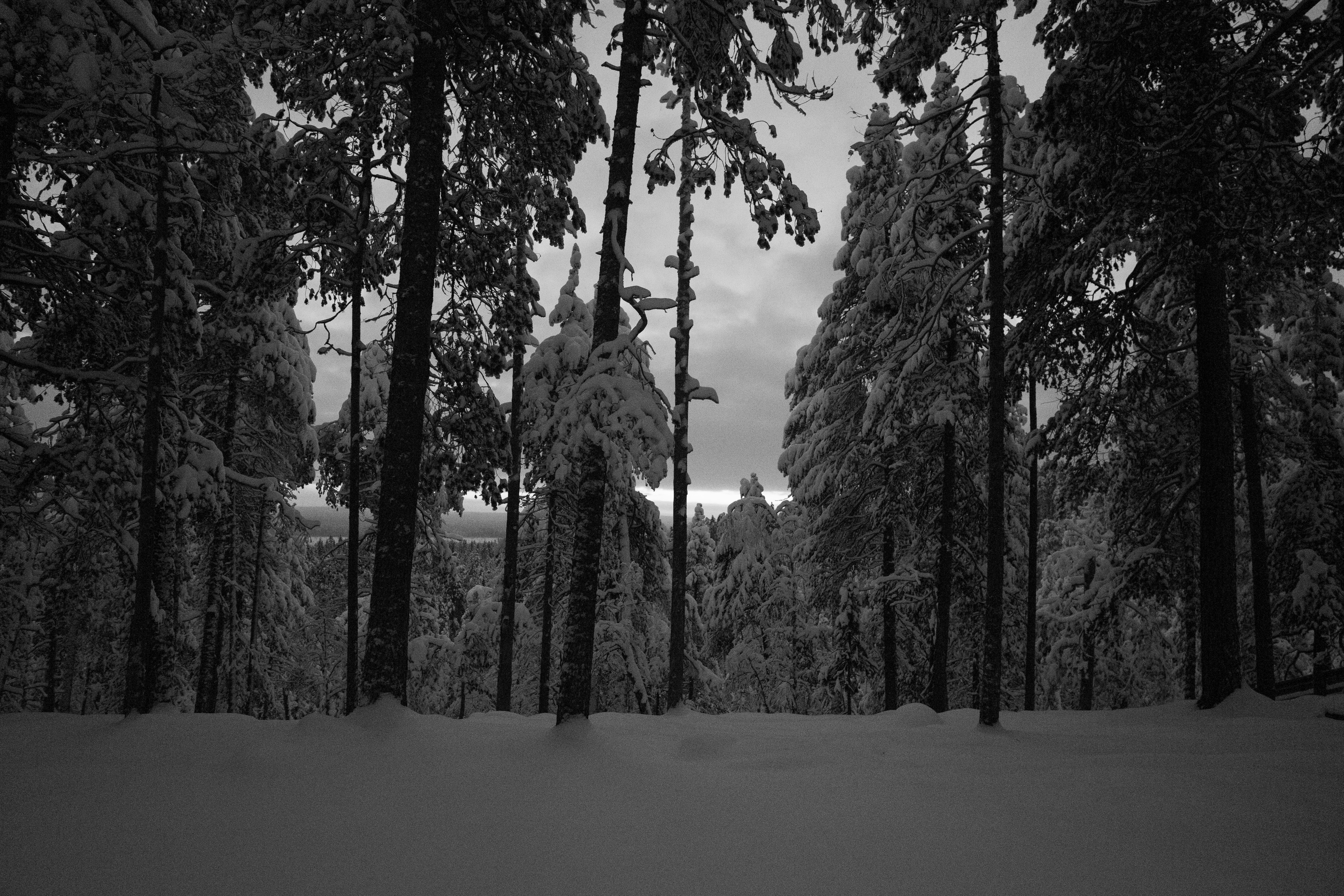 Photo by anthonyrosset