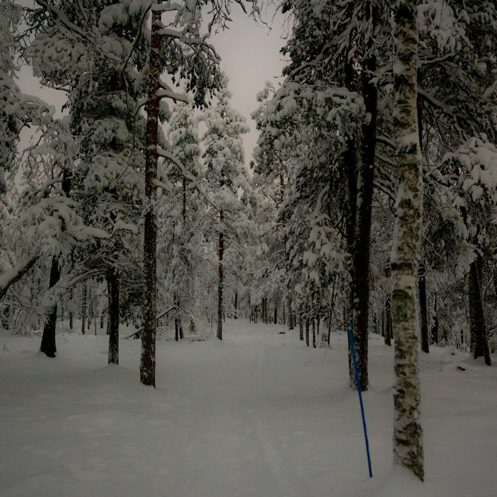 a person riding skis down a snow covered slope