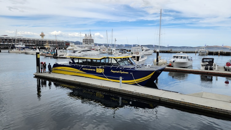 A marina with several boats moored at docks, including a prominently featured blue and yellow boat named 'Frequent Explorer.' The water is calm and reflective, and a few people stand on a dock, observing the scene. In the background, a large cruise ship and other smaller boats are visible, with distant hills under a partly cloudy sky.