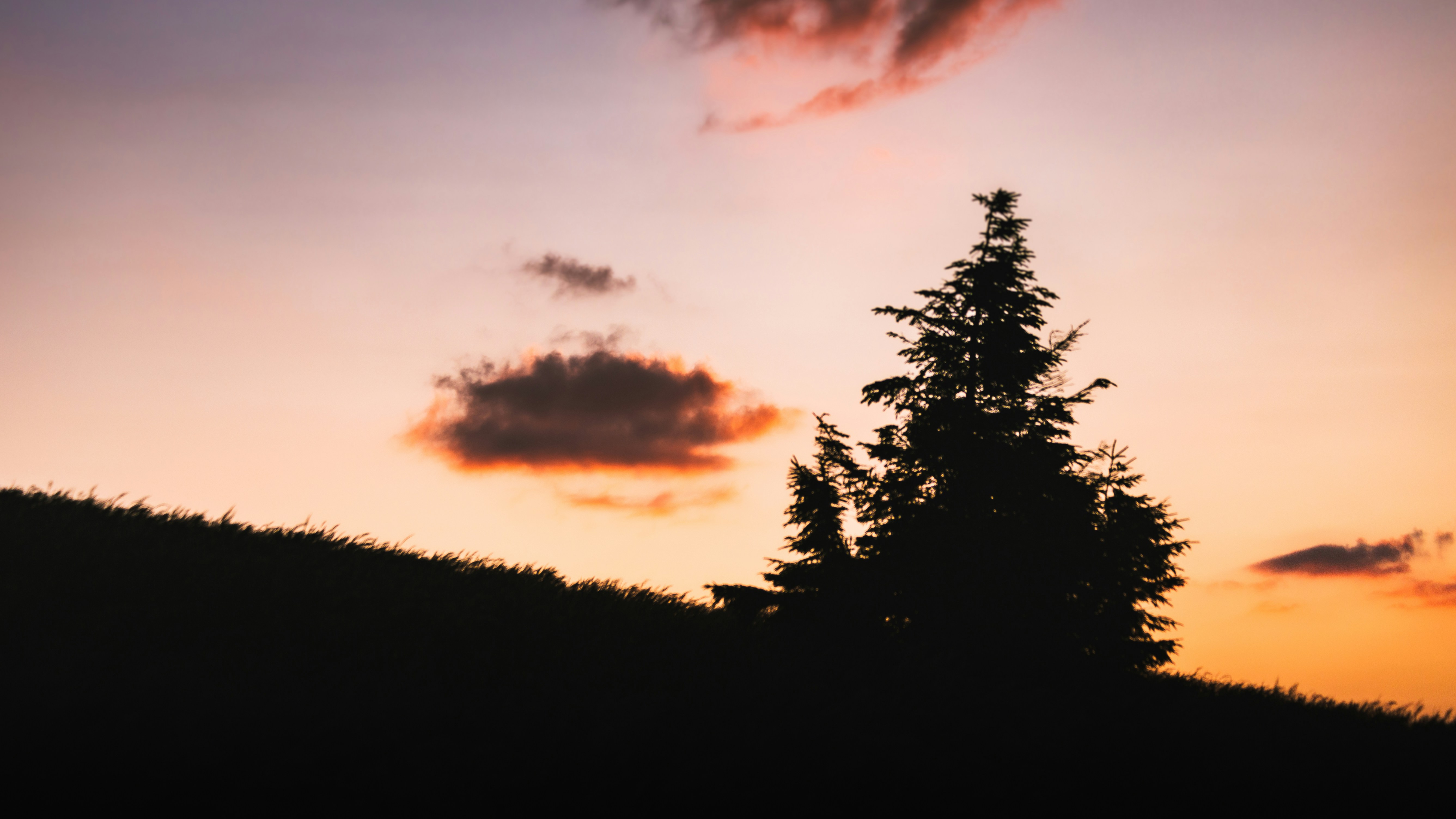 Photo by marekpiwnicki